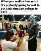 FB_IMG_1650824123594.jpg