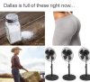 FB_IMG_1703483529609.jpg