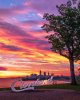 IMG_20190803_223610.jpg