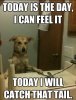 FB_IMG_1745231154612.jpg