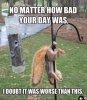 IMG_3550.jpeg