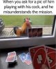 IMG_3552.jpeg