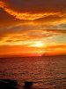 FB_IMG_1752376094643.jpg
