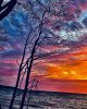 FB_IMG_1772645559425.jpg